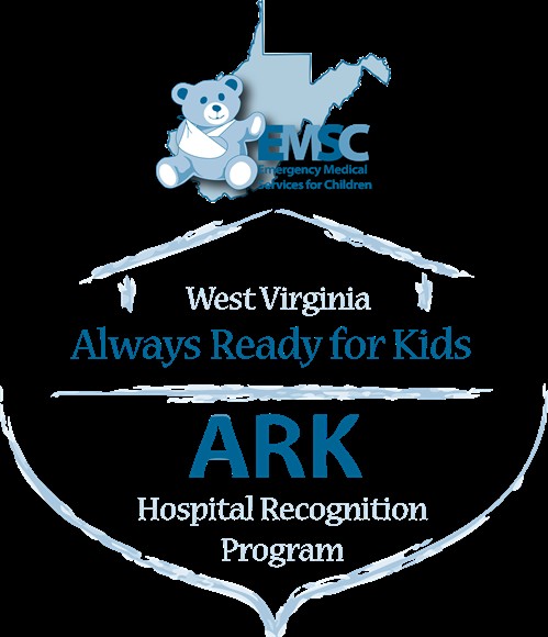 ARK with Bear Logo